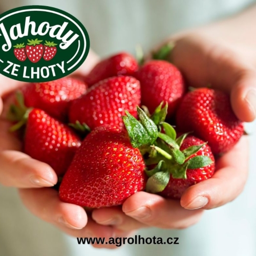 Agrodružstvo Lhota pod Libčany22