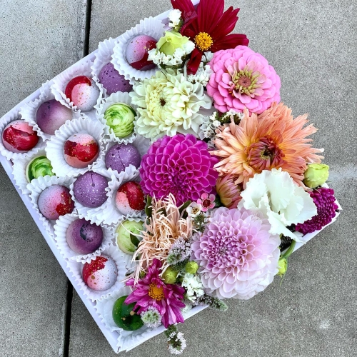 Galerie potravináře Mia Chocolat