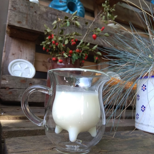 Mléko - tepelně upravené pasterované