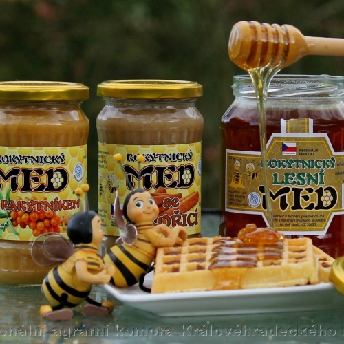 Rokytnický med lesní květový