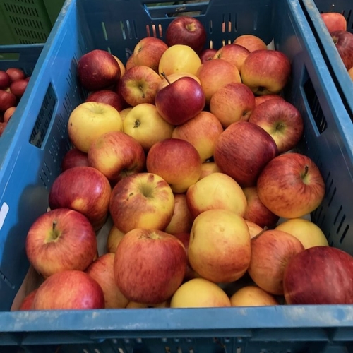 Rodinná ovocnářská farma Frydrych