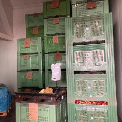 Rodinná ovocnářská farma Frydrych